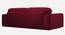 Parega 3 Seater Pull Out Sofa Cum Bed In Blue Colour (Maroon) by Urban Ladder - Rear View Design 1 - 853361