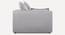 Leon 3 Seater Pull Out Sofa Cum Bed In Dusty Rose Colour (Grey) by Urban Ladder - Ground View Design 1 - 853494
