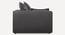 Leon 3 Seater Pull Out Sofa Cum Bed In Dusty Rose Colour (Dark Grey) by Urban Ladder - Ground View Design 1 - 853495