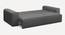 Parega 3 Seater Pull Out Sofa Cum Bed In Blue Colour (Grey) by Urban Ladder - Ground View Design 1 - 853504