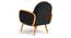 Derel Accent Chair in Pink Colour (Black) by Urban Ladder - Ground View Design 1 - 853513
