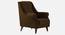 Joplin Accent Chair in Yellow Colour (Brown) by Urban Ladder - Ground View Design 1 - 853521