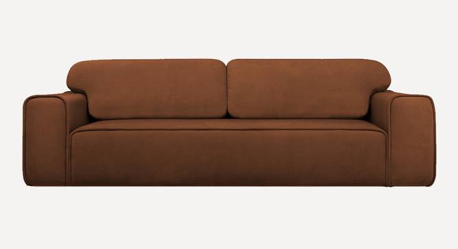 Parega 3 Seater Pull Out Sofa Cum Bed In Blue Colour (Brown) by Urban Ladder - Front View Design 1 - 853555