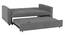 Medas 3 Seater Pull Out Sofa Cum Bed In Black Colour (Dark Grey) by Urban Ladder - Rear View Design 1 - 853667