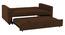 Medas 3 Seater Pull Out Sofa Cum Bed In Black Colour (Brown) by Urban Ladder - Rear View Design 1 - 853673