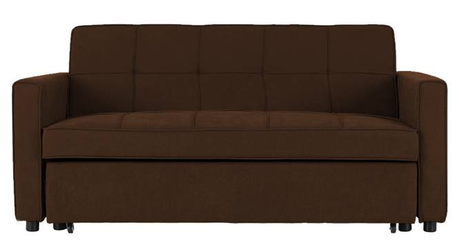 Medas 3 Seater Pull Out Sofa Cum Bed In Black Colour (Brown) by Urban Ladder - Front View Design 1 - 853675