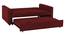 Medas 3 Seater Pull Out Sofa Cum Bed In Black Colour (Maroon) by Urban Ladder - Rear View Design 1 - 853676