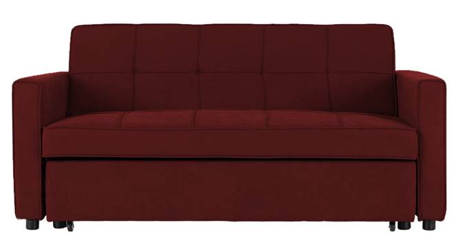 Medas 3 Seater Pull Out Sofa Cum Bed In Black Colour (Maroon) by Urban Ladder - Front View Design 1 - 853678