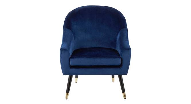 Matisse Accent Chair in Grey Colour (Navy Blue) by Urban Ladder - Design 1 Side View - 853698