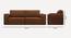 Cacef 3 Seater Pull Out Sofa Cum Bed ith storage In Tourquise Colour (Brown) by Urban Ladder - Ground View Design 1 - 853827