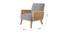 Evant Ratan Accent Chair in Green Colour (Dark Grey) by Urban Ladder - Ground View Design 1 - 853936