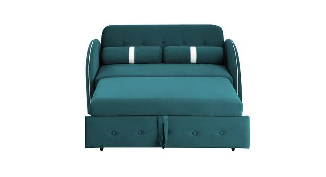 Jayen 2 Seater Pull Out Sofa Cum Bed In Grey Colour (Teal Blue) by Urban Ladder - Design 1 Side View - 854102