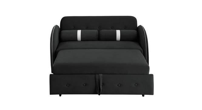 Jayen 2 Seater Pull Out Sofa Cum Bed In Grey Colour (Black) by Urban Ladder - Design 1 Side View - 854104
