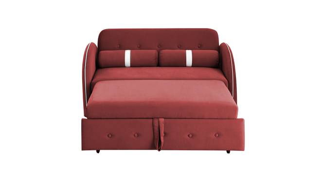 Jayen 2 Seater Pull Out Sofa Cum Bed In Grey Colour (Pink) by Urban Ladder - Design 1 Side View - 854105