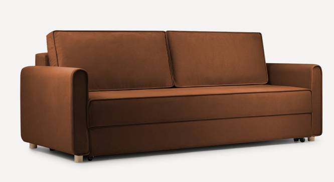 Flycon 3 Seater Pull Out Sofa Cum Bed In Blue Colour (Brown) by Urban Ladder - Front View Design 1 - 854110