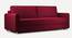 Flycon 3 Seater Pull Out Sofa Cum Bed In Blue Colour (Maroon) by Urban Ladder - Front View Design 1 - 854119