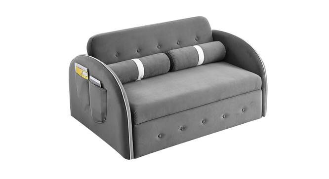 Jayen 3 Seater Pull Out Sofa Cum Bed In Grey Colour (Grey) by Urban Ladder - Front View Design 1 - 854140