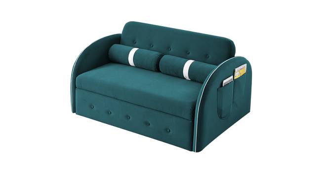 Jayen 2 Seater Pull Out Sofa Cum Bed In Grey Colour (Teal Blue) by Urban Ladder - Front View Design 1 - 854142