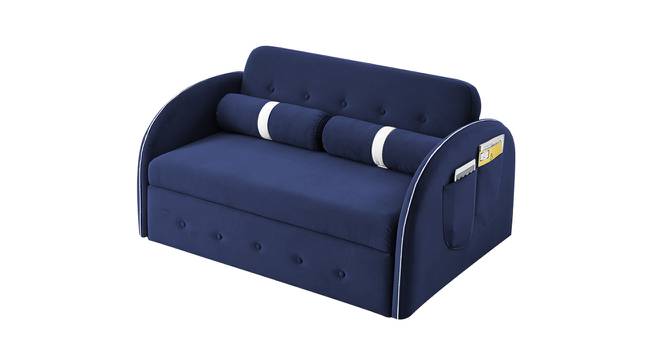 Jayen 2 Seater Pull Out Sofa Cum Bed In Grey Colour (Navy Blue) by Urban Ladder - Front View Design 1 - 854144