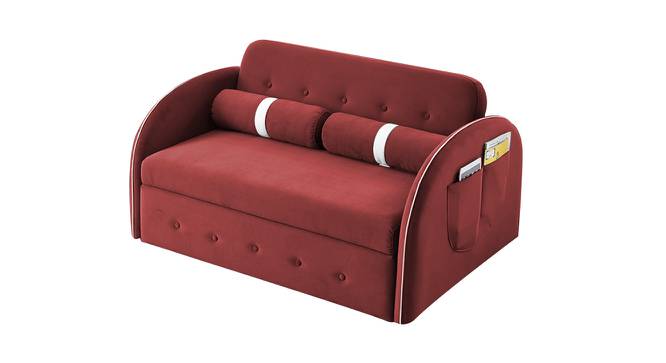 Jayen 2 Seater Pull Out Sofa Cum Bed In Grey Colour (Pink) by Urban Ladder - Front View Design 1 - 854147