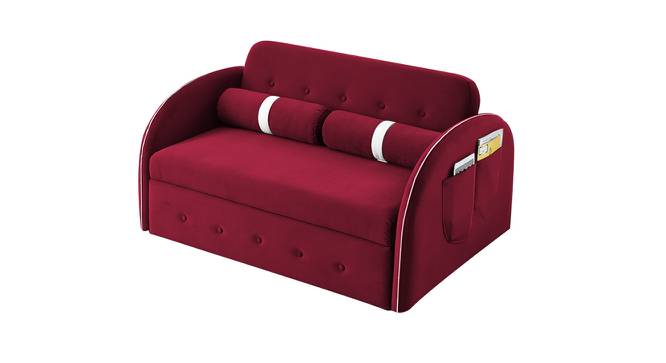 Jayen 2 Seater Pull Out Sofa Cum Bed In Grey Colour (Maroon) by Urban Ladder - Front View Design 1 - 854149