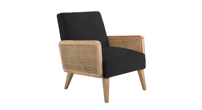 Evant Ratan Accent Chair in Green Colour (Black) by Urban Ladder - Front View Design 1 - 854154