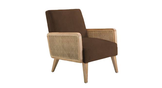 Evant Ratan Accent Chair in Green Colour (Brown) by Urban Ladder - Front View Design 1 - 854156