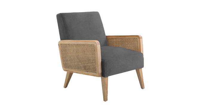 Evant Ratan Accent Chair in Green Colour (Dark Grey) by Urban Ladder - Front View Design 1 - 854158