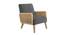 Evant Ratan Accent Chair in Green Colour (Dark Grey) by Urban Ladder - Front View Design 1 - 854158