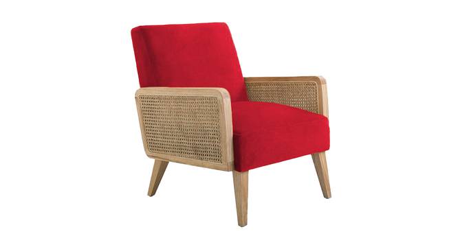 Evant Ratan Accent Chair in Green Colour (Red) by Urban Ladder - Front View Design 1 - 854164