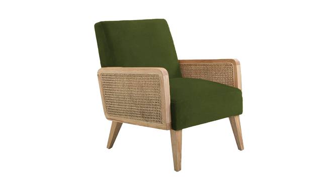 Evant Ratan Accent Chair in Green Colour (Mint Green) by Urban Ladder - Front View Design 1 - 854165