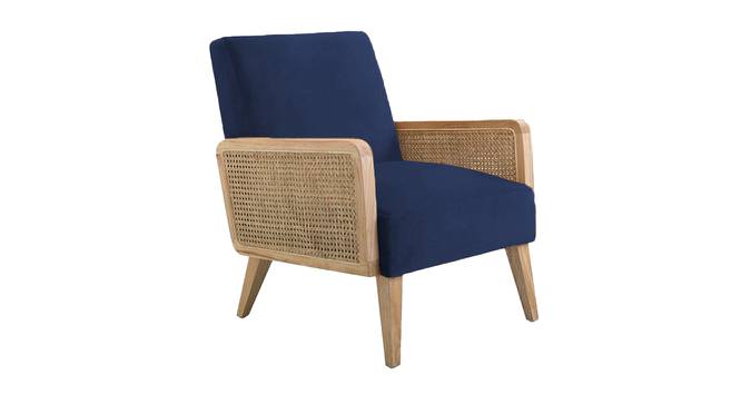 Evant Ratan Accent Chair in Green Colour (Navy Blue) by Urban Ladder - Front View Design 1 - 854166