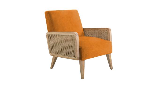 Evant Ratan Accent Chair in Green Colour (Orange) by Urban Ladder - Front View Design 1 - 854168