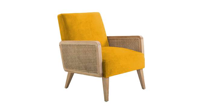 Evant Ratan Accent Chair in Green Colour (Yellow) by Urban Ladder - Front View Design 1 - 854169