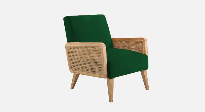 Evant Ratan Accent Chair in Green Colour (Green) by Urban Ladder - Front View Design 1 - 854170