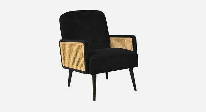 Haden Ratan Accent Chair in Cream Colour (Black) by Urban Ladder - Front View Design 1 - 854171