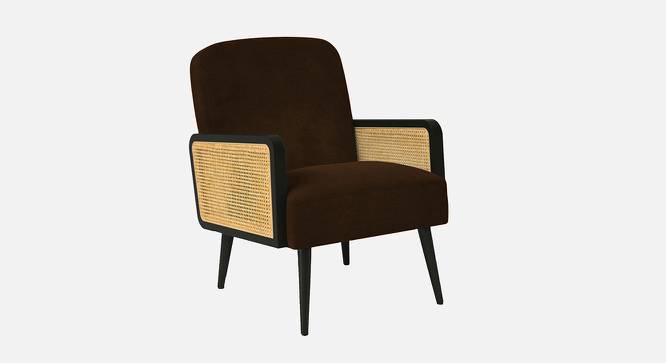 Haden Ratan Accent Chair in Cream Colour (Brown) by Urban Ladder - Front View Design 1 - 854172