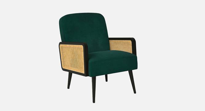 Haden Ratan Accent Chair in Cream Colour (Dark Green) by Urban Ladder - Front View Design 1 - 854174