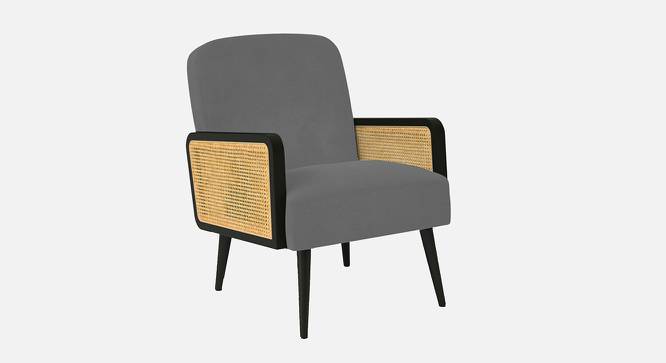 Haden Ratan Accent Chair in Cream Colour (Grey) by Urban Ladder - Front View Design 1 - 854175
