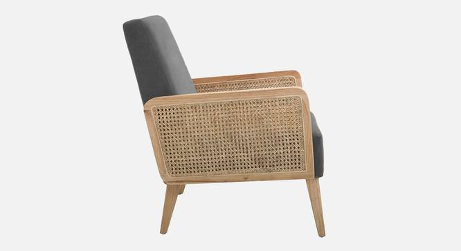 Evant Ratan Accent Chair in Green Colour (Dark Grey) by Urban Ladder - Ground View Design 1 - 854178