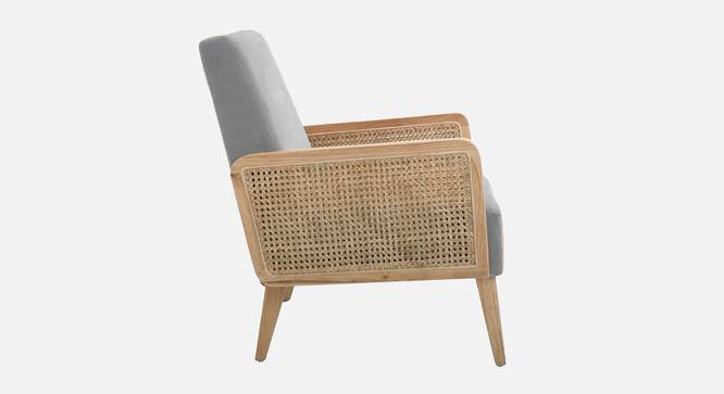 Evant Ratan Accent Chair in Green Colour (Grey) by Urban Ladder - Ground View Design 1 - 854180