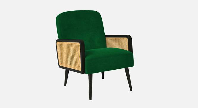 Haden Ratan Accent Chair in Cream Colour (Green) by Urban Ladder - Front View Design 1 - 854181