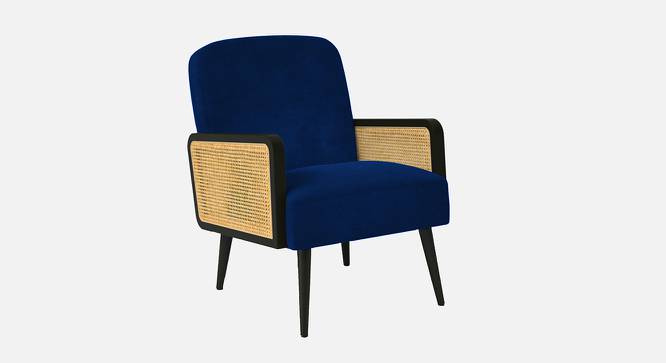 Haden Ratan Accent Chair in Cream Colour (Navy Blue) by Urban Ladder - Front View Design 1 - 854182