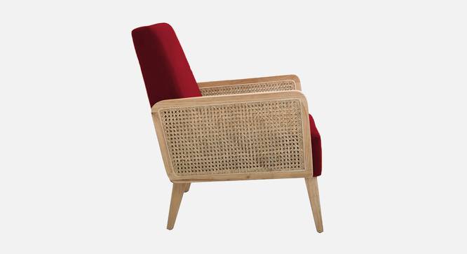 Evant Ratan Accent Chair in Green Colour (Maroon) by Urban Ladder - Ground View Design 1 - 854183