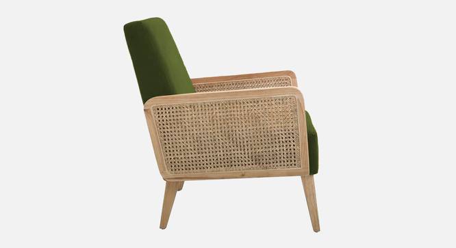 Evant Ratan Accent Chair in Green Colour (Mint Green) by Urban Ladder - Ground View Design 1 - 854187
