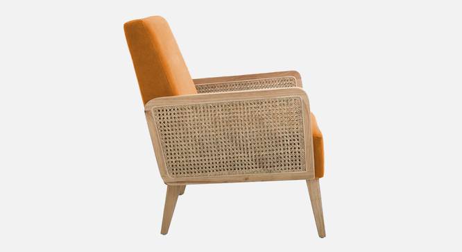 Evant Ratan Accent Chair in Green Colour (Orange) by Urban Ladder - Ground View Design 1 - 854192