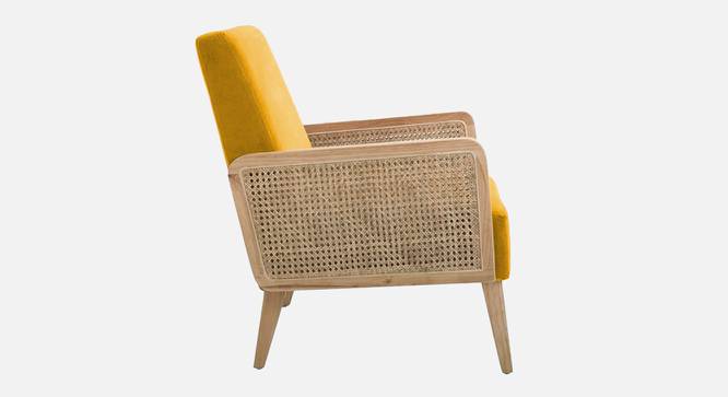 Evant Ratan Accent Chair in Green Colour (Yellow) by Urban Ladder - Ground View Design 1 - 854195