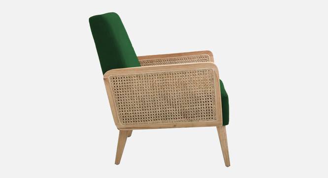 Evant Ratan Accent Chair in Green Colour (Green) by Urban Ladder - Ground View Design 1 - 854197