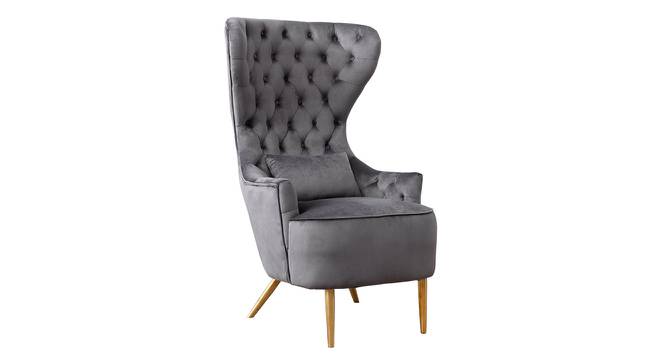 Jayeh High Back Chair in Black Colour (Grey) by Urban Ladder - Front View Design 1 - 854206