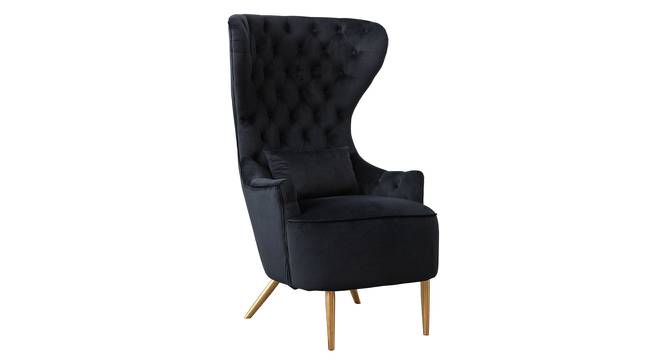 Jayeh High Back Chair in Black Colour (Black) by Urban Ladder - Front View Design 1 - 854211